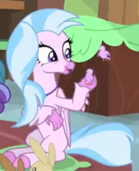Size: 282x347 | Tagged: safe, screencap, silverstream, bird, g4, interseason shorts, teacher of the month (episode), cropped, cute, diastreamies, female, solo