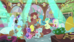 Size: 1280x720 | Tagged: safe, screencap, berry blend, berry bliss, fluttershy, gallus, november rain, ocellus, peppermint goldylinks, sandbar, silverstream, yona, changedling, changeling, classical hippogriff, earth pony, griffon, hippogriff, pegasus, pony, unicorn, yak, g4, teacher of the month (episode), spoiler:interseason shorts, animated, bird house, blissabetes, bow, chalkboard, classroom, cloven hooves, colored hooves, cute, dancing, diaocelles, diastreamies, female, friendship student, gallabetes, gif, gramophone, hair bow, jewelry, male, mare, monkey swings, necklace, novemberbetes, peppermint adoralinks, sandabetes, smiling, teenager, yonadorable