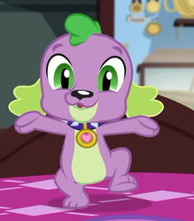 Size: 502x572 | Tagged: safe, screencap, spike, spike the regular dog, dog, equestria girls, g4, my little pony equestria girls: better together, reboxing with spike!, collar, cropped, cute, male, paws, spikabetes, spike's dog collar