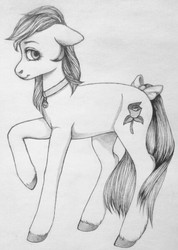 Size: 426x600 | Tagged: artist needed, safe, roseluck, earth pony, pony, g4, bow, collar, commissioner:doom9454, cute, female, mare, monochrome, pet tag, pony pet, raised hoof, rosepet, solo, tail bow, traditional art