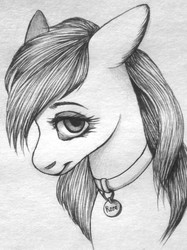 Size: 449x600 | Tagged: artist needed, safe, roseluck, earth pony, pony, g4, bust, collar, cute, female, floppy ears, grayscale, looking at you, mare, monochrome, pet tag, pony pet, portrait, rosepet, smiling, solo, traditional art