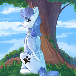 Size: 1280x1280 | Tagged: safe, artist:neonishe, oc, oc only, oc:snow pup, pegasus, pony, collar, paw prints, sitting, solo, tree, ych result