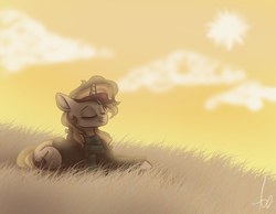 Size: 999x777 | Tagged: safe, artist:inspiration1413, oc, oc only, pony, cloud, eyes closed, grass, solo