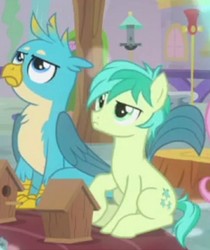 Size: 714x850 | Tagged: safe, screencap, gallus, sandbar, earth pony, griffon, pony, g4, teacher of the month (episode), spoiler:interseason shorts, bird house, chest fluff, cropped, cutie mark, looking up, male, tail, wings