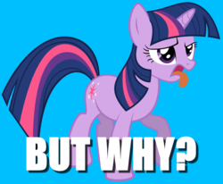 Size: 1600x1317 | Tagged: safe, twilight sparkle, pony, g4, caption, disgusted, female, image macro, solo, text, tongue out