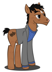 Size: 3477x4786 | Tagged: safe, artist:invisibleink, earth pony, pony, bojack horseman, clothes, jacket, male, netflix, ponified, simple background, solo, stallion, transparent background, vector