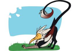 Size: 3035x2150 | Tagged: safe, artist:omegapex, oc, oc only, oc:mahlra, griffon, vulture, vulture griffon, beak, behaving like a cat, colored wings, eyes closed, grass, griffon oc, griffons doing cat things, high res, leonine tail, long nails, male, paws, simple background, solo, stretching, tail feathers, talons, wings