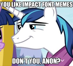 Size: 657x600 | Tagged: safe, edit, edited screencap, screencap, shining armor, twilight sparkle, pony, unicorn, g4, my little pony best gift ever, caption, image macro, impact font, lidded eyes, meme, reaction image, smug, text