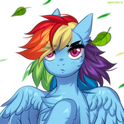 Size: 1000x1000 | Tagged: safe, artist:margony, rainbow dash, pegasus, pony, g4, chest fluff, eye clipping through hair, female, leaf, looking at you, partially open wings, solo, wings
