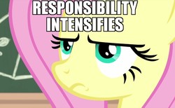 Size: 879x540 | Tagged: safe, edit, edited screencap, screencap, fluttershy, g4, interseason shorts, teacher of the month (episode), caption, close-up, fluttershy is not amused, image macro, impact font, meme, text, unamused, x intensifies