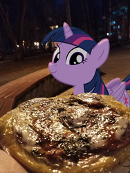 Size: 3000x4000 | Tagged: safe, artist:albertuha, twilight sparkle, alicorn, pony, g4, disgusting, female, food, irl, mare, misleading thumbnail, night, photo, pizza, ponies in real life, smiling, solo, twilight sparkle (alicorn)