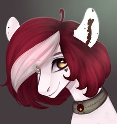 Size: 1024x1085 | Tagged: safe, artist:velirenrey, oc, oc only, pony, bust, collar, female, mare, portrait, simple background, smiling, solo