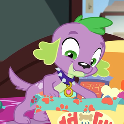 Size: 633x630 | Tagged: safe, screencap, spike, spike the regular dog, dog, equestria girls, equestria girls series, g4, reboxing with spike!, spoiler:eqg series (season 2), collar, cropped, male, paws, smiling, spike's dog collar, tail