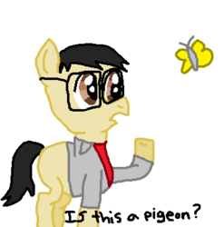 Size: 384x389 | Tagged: safe, artist:nightshadowmlp, butterfly, earth pony, pony, blank flank, clothes, dialogue, glasses, is this a pigeon, jacket, male, meme, no pants, ponified meme, shirt, solo, stallion, text