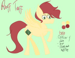 Size: 1300x1000 | Tagged: safe, artist:wonderschwifty, oc, oc:ruff tuff, pegasus, pony, male, solo