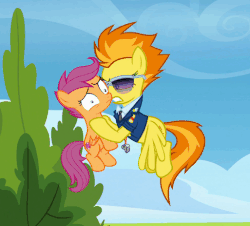 Size: 513x463 | Tagged: safe, screencap, scootaloo, spitfire, pegasus, pony, g4, the washouts (episode), animated, clothes, cropped, duo, female, filly, flying, foal, gif, holding a pony, loop, mare, necktie, pinpoint eyes, scootabuse, shaking, spitfire's tie, sunglasses, uniform, wonderbolts dress uniform