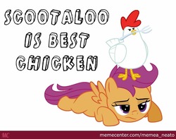 Size: 880x692 | Tagged: safe, elizabeak, scootaloo, bird, chicken, g4, abuse, duo, frustrated, memecenter, sad, scootabuse, scootachicken, scootaloo is not amused, text, unamused