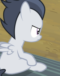 Size: 738x937 | Tagged: safe, screencap, rumble, pegasus, pony, g4, marks and recreation, bleachers, colt, cropped, male, rear view, sitting, unamused