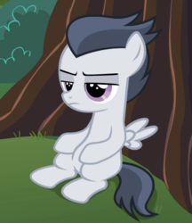 Size: 806x931 | Tagged: safe, screencap, rumble, pegasus, pony, g4, marks and recreation, colt, cropped, lidded eyes, male, sitting, solo