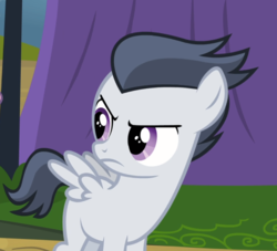 Size: 1029x935 | Tagged: safe, screencap, rumble, pegasus, pony, g4, marks and recreation, colt, cropped, looking back, male, solo, unamused