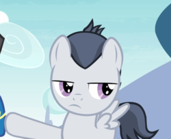 Size: 841x685 | Tagged: safe, screencap, rumble, pegasus, pony, g4, marks and recreation, colt, cropped, lidded eyes, male, pushing