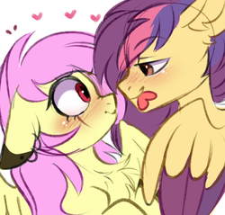 Size: 3000x2872 | Tagged: safe, artist:pesty_skillengton, oc, oc only, oc:mariasha, pegasus, pony, colored wings, confused, couple, cute, duo, high res, holiday, two toned wings, valentine, valentine's day, wings