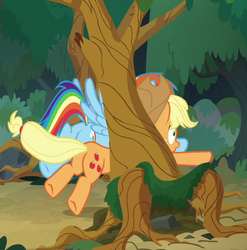 Size: 576x584 | Tagged: safe, screencap, applejack, rainbow dash, pony, g4, non-compete clause, butt, buttstuck, plot, stuck, stuck between trees, tree