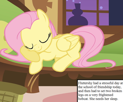 Size: 810x675 | Tagged: safe, edit, edited screencap, editor:korora, screencap, fluttershy, pony, g4, stare master, cropped, cute, fluttershy's cottage, inset, shyabetes, sleeping, solo, text