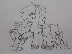 Size: 2576x1932 | Tagged: safe, artist:drheartdoodles, aloe, lotus blossom, oc, oc:dr.heart, clydesdale, pegasus, pony, g4, blushing, chest fluff, dialogue, exclamation point, holding hooves, sitting, size difference, surprised, twins