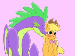 Size: 4032x3024 | Tagged: safe, artist:bella-pink-savage, applejack, spike, dragon, pony, g4, blushing, cheek kiss, cute, dilated pupils, female, heart, heart eyes, holiday, hoof hold, jackabetes, kissing, male, older, older spike, pink background, ship:applespike, shipping, simple background, spikabetes, straight, valentine's day, valentine's day card, wingding eyes, winged spike, wings