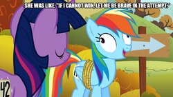 Size: 889x500 | Tagged: safe, edit, edited screencap, screencap, rainbow dash, twilight sparkle, pony, fall weather friends, g4, bound wings, caption, derp, image macro, sign, text