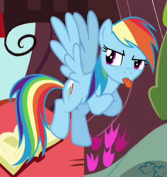 Size: 343x364 | Tagged: safe, screencap, rainbow dash, pegasus, pony, g4, testing testing 1-2-3, cropped, crossed legs, female, flying, golden oaks library, mare, solo, spread wings, tongue out, wings