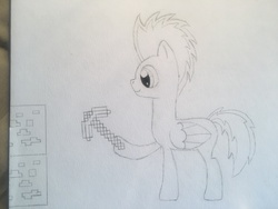 Size: 4032x3024 | Tagged: safe, oc, oc:electric night, pegasus, pony, happy, male, minecraft, mining, pickaxe, stallion