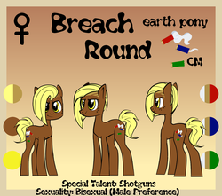 Size: 1700x1500 | Tagged: safe, artist:albatrosonset, oc, oc only, oc:breach round, earth pony, pony, fallout equestria, ammunition, brown coat, color palette, edgy, female, mare, reference sheet, shaved mane, shotgun shell, smiling, smirk, solo, ych result, yellow eyes