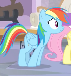 Size: 522x556 | Tagged: safe, screencap, fluttershy, rainbow dash, pegasus, pony, g4, interseason shorts, teacher of the month (episode), cropped, female, offscreen character, smiling, wings