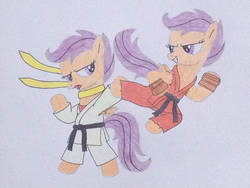 Size: 1024x768 | Tagged: safe, artist:don2602, scootaloo, pegasus, pony, g4, black belt, capcom, clothes, crossover, duo, duo female, female, fingerless gloves, gi, gloves, karate, ken, makoto, pants, robe, self ponidox, street fighter, traditional art