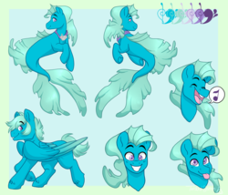 Size: 5040x4320 | Tagged: safe, artist:twisted-sketch, oc, oc only, oc:sonata charm, pegasus, pony, seapony (g4), siren, absurd resolution, dorsal fin, fish tail, flowing tail, jewelry, male, music notes, necklace, open mouth, purple eyes, reference sheet, seaponified, seashell, simple background, smiling, solo, species swap, stallion, tail, teeth, tongue out