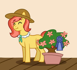 Size: 1280x1161 | Tagged: safe, artist:quincydragon, oc, oc only, oc:honeygold posey, earth pony, pony, bonsai, female, hat, magical lesbian spawn, mare, offspring, parent:applejack, parent:fluttershy, parents:appleshy, solo
