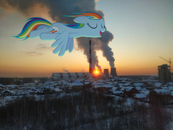Size: 4000x3000 | Tagged: safe, artist:albertuha, rainbow dash, pegasus, pony, g4, eyes closed, female, flying, irl, mare, photo, ponies in real life, smiling, snow, solo, winter