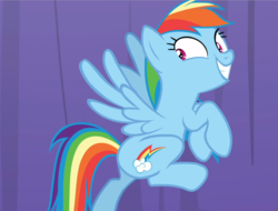 Size: 1236x937 | Tagged: safe, screencap, rainbow dash, pegasus, pony, grannies gone wild, cropped, eager, excited, female, looking back, mare, rainbow dash is best facemaker, smiling, spread wings, wings