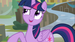Size: 1668x936 | Tagged: safe, screencap, twilight sparkle, alicorn, pony, g4, surf and/or turf, female, mare, open mouth, shrug, twilight sparkle (alicorn)