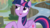 Size: 1668x936 | Tagged: safe, screencap, twilight sparkle, alicorn, pony, g4, my little pony: friendship is magic, surf and/or turf, female, mare, open mouth, shrug, twilight sparkle (alicorn)