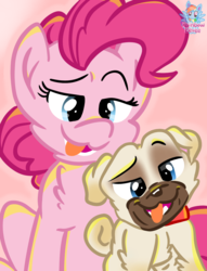 Size: 937x1224 | Tagged: safe, artist:rainbow eevee, pinkie pie, dog, pony, pug, g4, cute, disney, disney junior, duo, female, mare, puppy dog pals, raised eyebrow, rolly, selfie, silly, tongue out