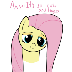 Size: 5000x5000 | Tagged: safe, artist:czu, fluttershy, pony, g4, absurd resolution, cute, head tilt, looking at you, looking down, shyabetes, smiling, smug