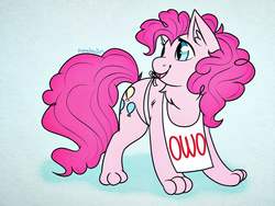 Size: 1024x768 | Tagged: safe, artist:incendiarymoth, pinkie pie, cat, pony, g4, apron, blue background, catified, chest fluff, clothes, cute, daaaaaaaaaaaw, ear fluff, eyelashes, female, owo, paws, pinkie cat, signature, simple background, solo, species swap