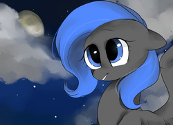 Size: 3656x2665 | Tagged: safe, artist:lity, oc, oc only, pegasus, pony, cloud, high res, moon, night, solo