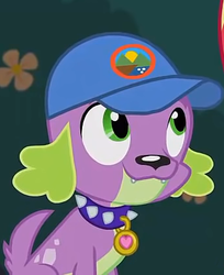 Size: 343x420 | Tagged: safe, screencap, spike, spike the regular dog, dog, equestria girls, g4, my little pony equestria girls: legend of everfree, cap, cropped, hat, smiling, spike's dog collar, tail