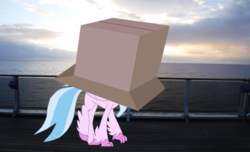 Size: 3067x1860 | Tagged: safe, artist:oceanrailroader, silverstream, classical hippogriff, hippogriff, pony, g4, box, cardboard box, cloud, cloudy, irl, photo, ponies in real life, sky, water