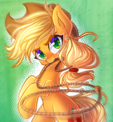Size: 2048x2208 | Tagged: safe, artist:chaosangeldesu, applejack, earth pony, pony, g4, cowboy hat, female, hat, high res, mare, rope, solo, stetson