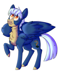 Size: 1000x1200 | Tagged: safe, artist:cinnamonsparx, oc, oc only, oc:osage, pegasus, pony, male, simple background, solo, stallion, transparent background